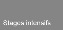 HEC-stage-intensif