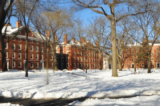 Comment rejoindre une Grande université américaine ?