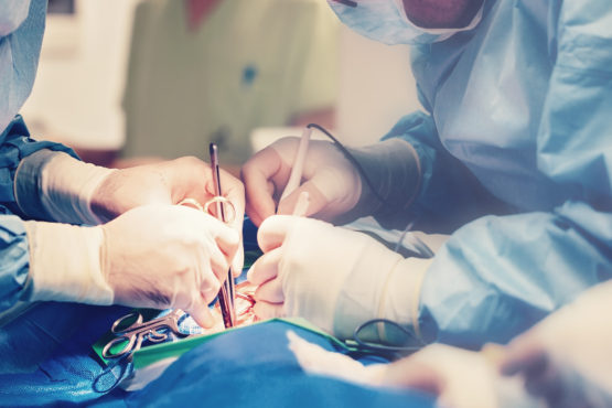 Études de médecine : quelle voie choisir entre PASS et L.AS ?