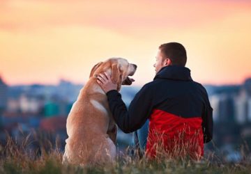 «Comment l’homme parle-t-il de l’animal?» – Christophe Cervellon analyse le thème de culture générale en prépa HEC