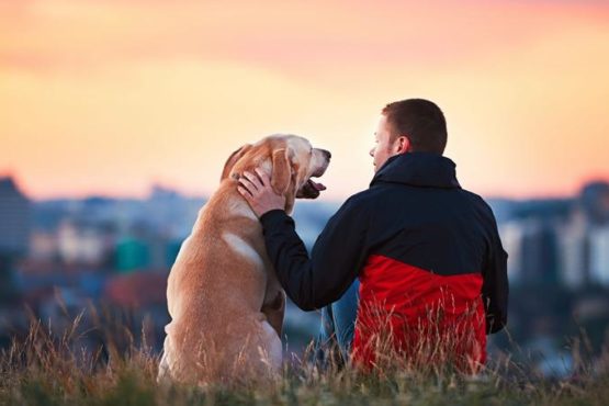 « Comment l’homme parle-t-il de l’animal ? » – Christophe Cervellon analyse le thème de culture générale en prépa HEC