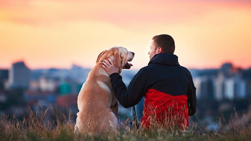 Homme et chien