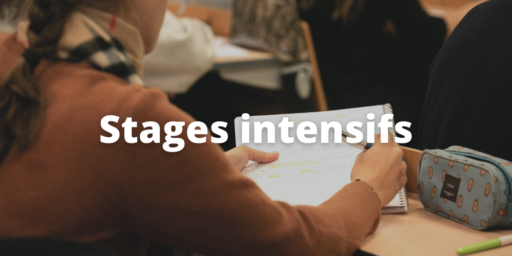 Vignettes_stages intensifs responsive
