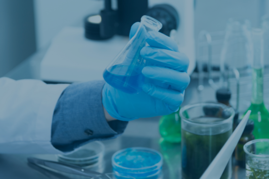 Le classement des Prépas Scientifiques