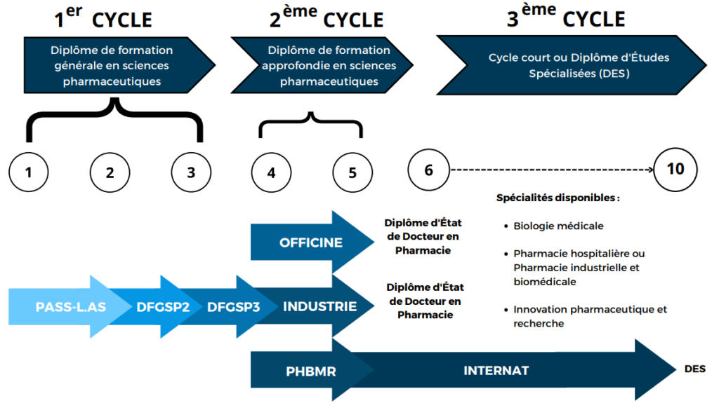 Études de santé Tout savoir sur la filière pharmacie — free download