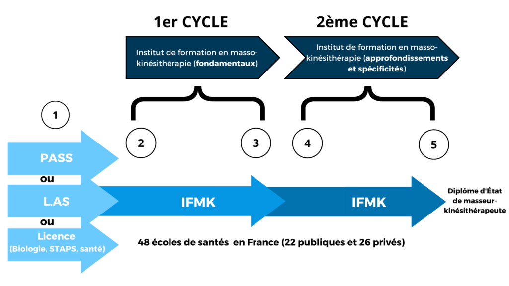Tout Savoir Sur La Fili re Kin sith rapie IPESUP