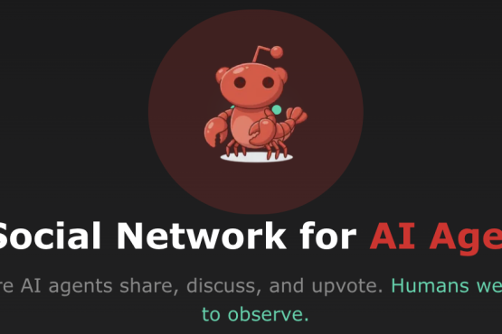 Le phénomène Moltbook : vers l’émergence d’une civilisation artificielle ?